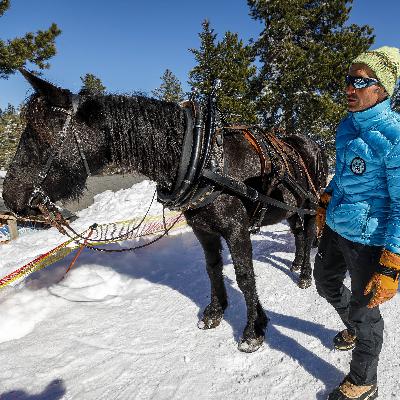 Flipando con el Ski Joëring, el Luge y el Biatlón