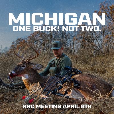 It's Time for a CHANGE - Why MICHIGAN Needs to be a ONE BUCK STATE It's Time for a CHANGE - Why MICHIGAN Needs to be a ONE BUCK STATE