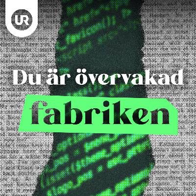 Ökad övervakning - så påverkas du av den nya kamerabevakningslagen Ökad övervakning - så påverkas du av den nya kamerabevakningslagen