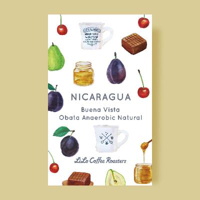 Nicaragua Buena Vista Obata Anaerobic Natural / ニカラグア ブエナビスタ オバタ アナエロビックナチュラル