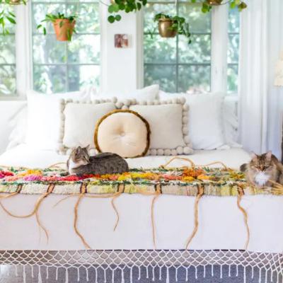 I Have 5 Cats, and This Is How I Leave Them at Home While I Travel