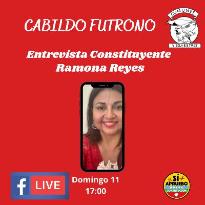 Entrevista Constituyente