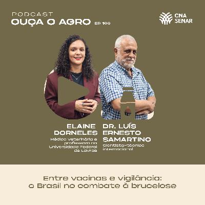 Ouça o Agro 199 - Entre vacinas e vigilância: o Brasil no combate à brucelose Ouça o Agro 199 - Entre vacinas e vigilância: o Brasil no combate à brucelose