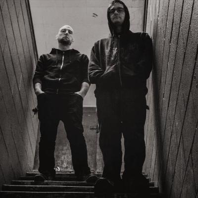 Andy from Feral Light Interview