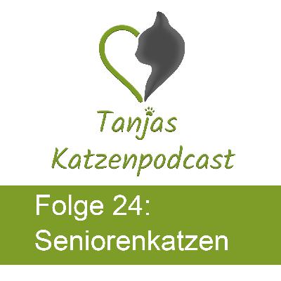 Seniorenkatzen