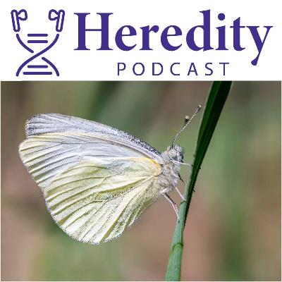 The consequences of invasion The consequences of invasion