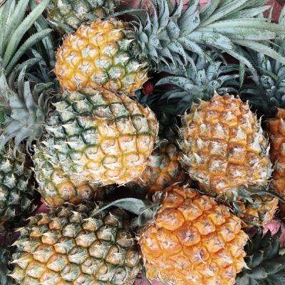 Episódio 159 descascar o abacaxi Episódio 159 descascar o abacaxi