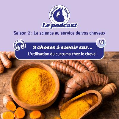 3 choses à savoir sur l'utilisation du curcuma chez le cheval