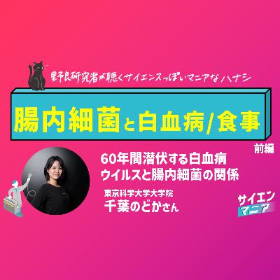60年間潜伏する白血病ウイルスと腸内細菌の関係【腸内細菌と白血病/食事 前編】#159