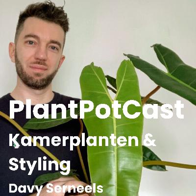 Een plant maakt je sfeer niet goed