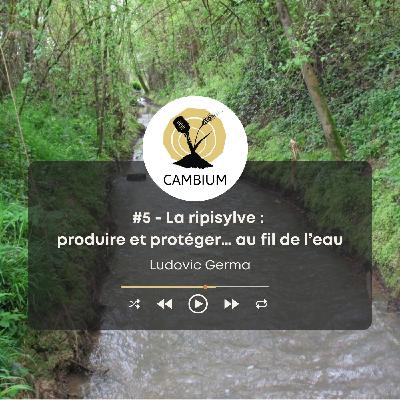 #5 - La ripisylve :  produire et protéger… au fil de l’eau, avec Ludovic Germa