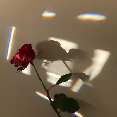 Semangat ya, kamu bisa kok:)