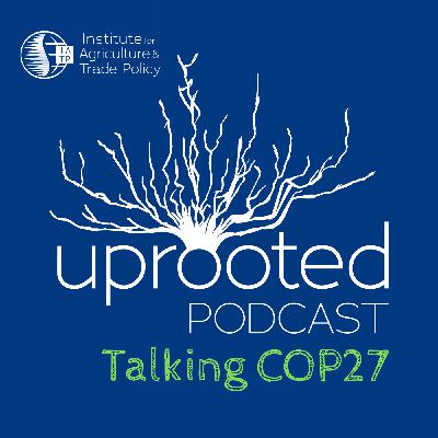 Talking COP27 Episode 4: The fight for real climate action continues