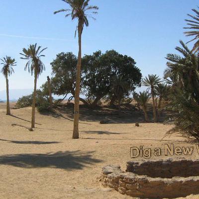 Dig A New Well | Part 3 Dig A New Well | Part 3