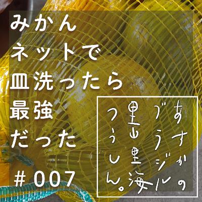 #007 | みかんネットで皿洗ったら最強だった