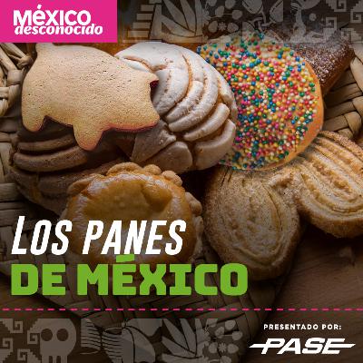 México Desconocido T3 | E11 Los Panes de México con el Chef Héctor Gil México Desconocido T3 | E11 Los Panes de México con el Chef Héctor Gil
