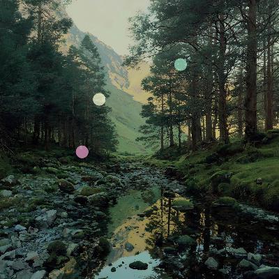 Hidden Valley Stream | Flowing Water and Evening Songbirds