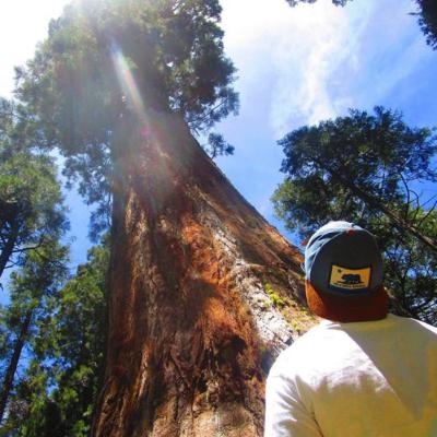 Positive Mob Mentality Positive Mob Mentality