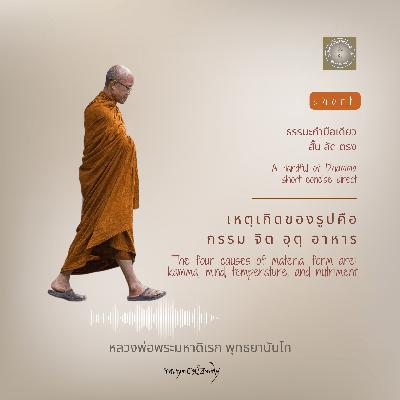 เหตุเกิดของรูปคือ  กรรม จิต อุตุ อาหาร  The four causes of material form are: kamma, mind, temperature and nutriment