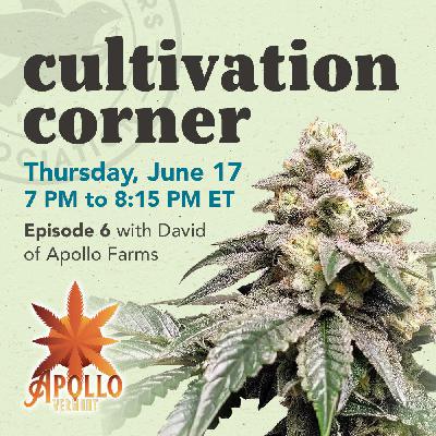 Cultivation Corner, Episode 6 with David of Apollo Farms Cultivation Corner, Episode 6 with David of Apollo Farms
