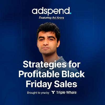 Strategies for Profitable Black Friday Sales with Avi Arora