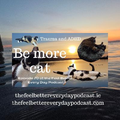 Be More Cat Be More Cat