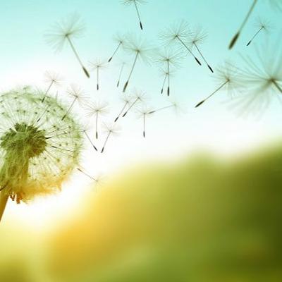 A Quality Life: Joni's COPD and Palliative Care Story A Quality Life: Joni's COPD and Palliative Care Story