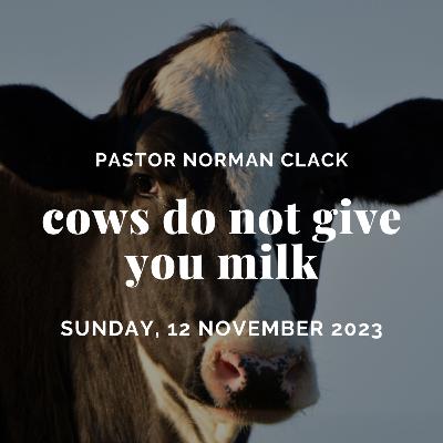 Cows do not give you milk