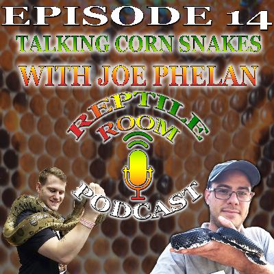 Episode 14 - Talking Corn Snakes with Joe Phelan of Port City Pythons/Pets & FTGU