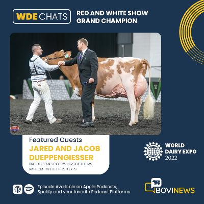 BoviNews WDE 2022 Chats: Red and White Show Grand Champion with Jared and Jacob Dueppengiesser