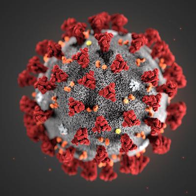 Il Coronavirus spiegato ai bambini - UNICEF