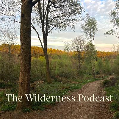 Episode XV - Spring