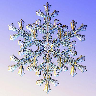 Fiocchi di neve