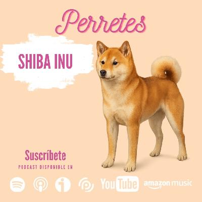 EP95: Shiba Inu