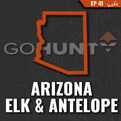 Arizona Elk and Antelope – Is It Worth It?