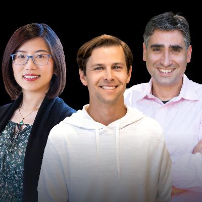 The Future of Software Development - Vibe Coding, Prompt Engineering & AI Assistants