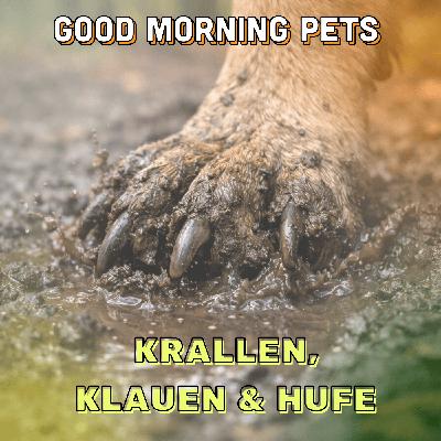 GMP107 - Krallen, Klauen & Hufe GMP107 - Krallen, Klauen & Hufe