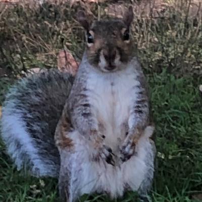 16. Two Weeks in the Making