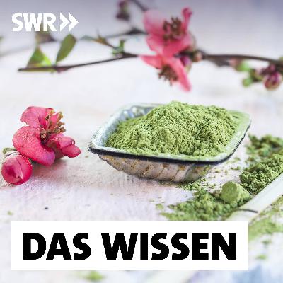 Wie gesund ist Tee? – Mythen und Wahrheiten