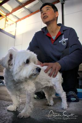 All Things Integrated with Kim Lim. Focus on Musculoskeletal Treatment.