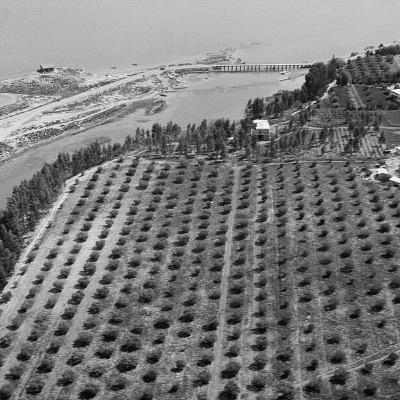 Thirsty Water Carriers: The Legacy of Colonialism in the Galilee I Muna Dajani I October 2022 Thirsty Water Carriers: The Legacy of Colonialism in the Galilee I Muna Dajani I October 2022