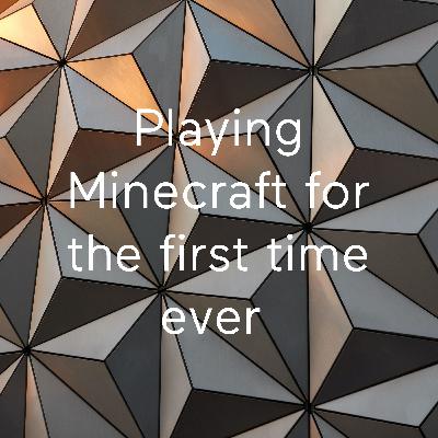 Playing Minecraft for the first time