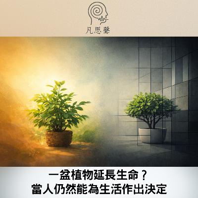 【凡思維】一盆植物延長生命? 當人仍然能為生活作出決定 【凡思維】一盆植物延長生命? 當人仍然能為生活作出決定