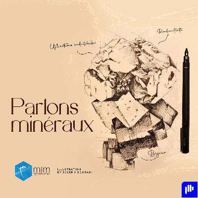 Quel lien existe-t-il entre les mines de Joachimstal en Bohême et le dollar ?