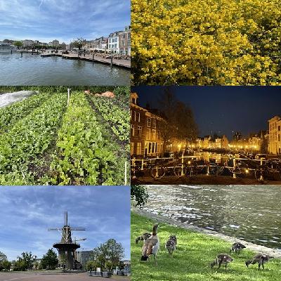 TRAILER NATUUR💚LEIDEN TRAILER NATUUR💚LEIDEN