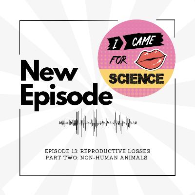Episode 13: Reproductive Losses Part 2: Non-human Animals