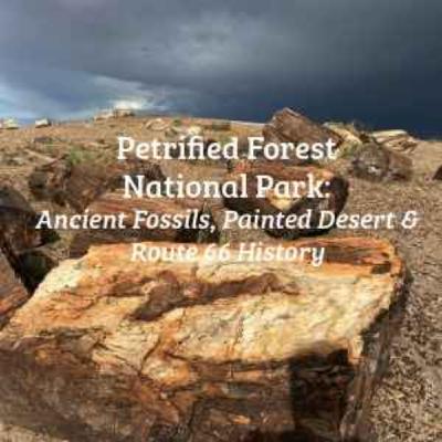 Petrified Forest National Park Petrified Forest National Park