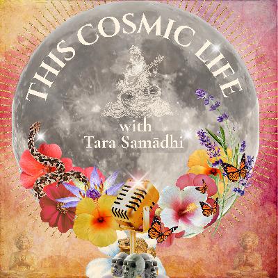 Bufo & the Great Unknowing: A Mystical Series on 5-MeO-DMT- Part 1 | Ep 17 Bufo & the Great Unknowing: A Mystical Series on 5-MeO-DMT- Part 1 | Ep 17