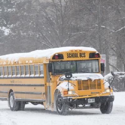 The Business of Bus Cancellations The Business of Bus Cancellations