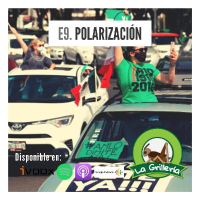 Polarización